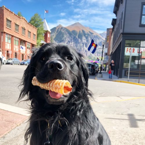 Things to do in Telluride Telluride Fly Fishers