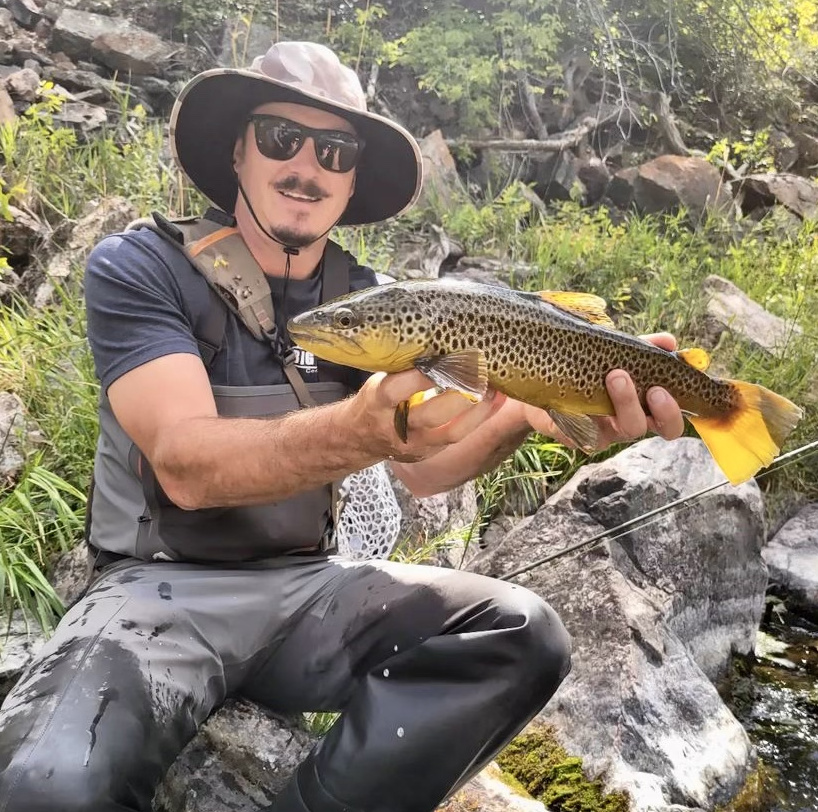 Telluride Fly Fishers  Expert Guided Fly Fishing in Telluride CO